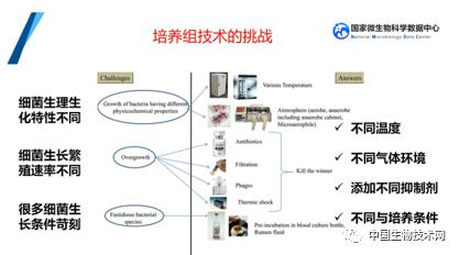 培养组通幽微世界，助力微生物资源大作为——记国家微生物科学数据中心网络精品课网络技术开发