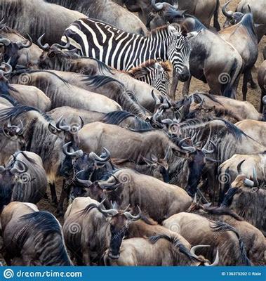 菏泽地区网络游戏修改及网络技术开发必读指南